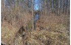 Property photo 42 - East Allen County - 55 Acre Land Auction